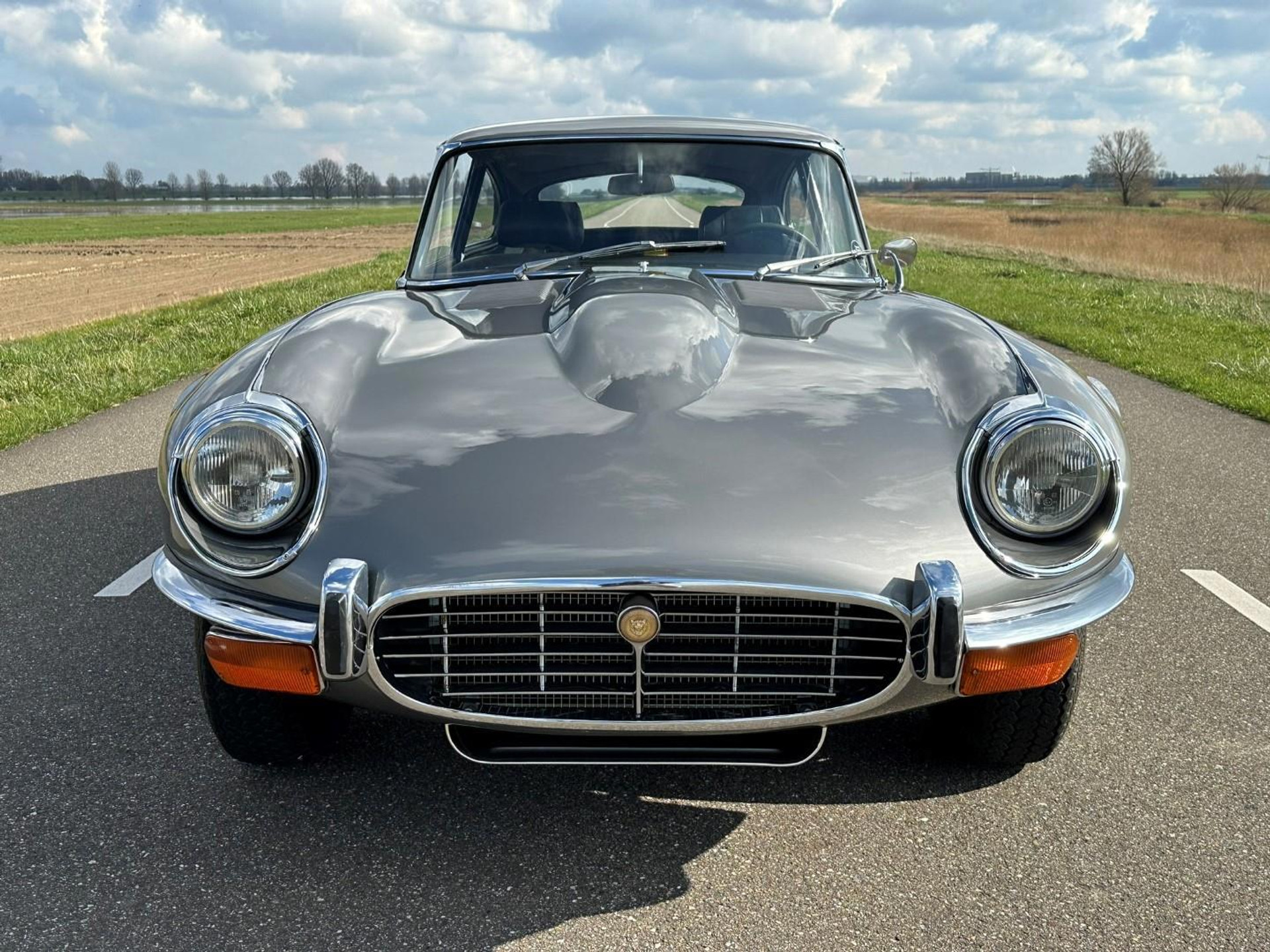 37996488-7.jpg