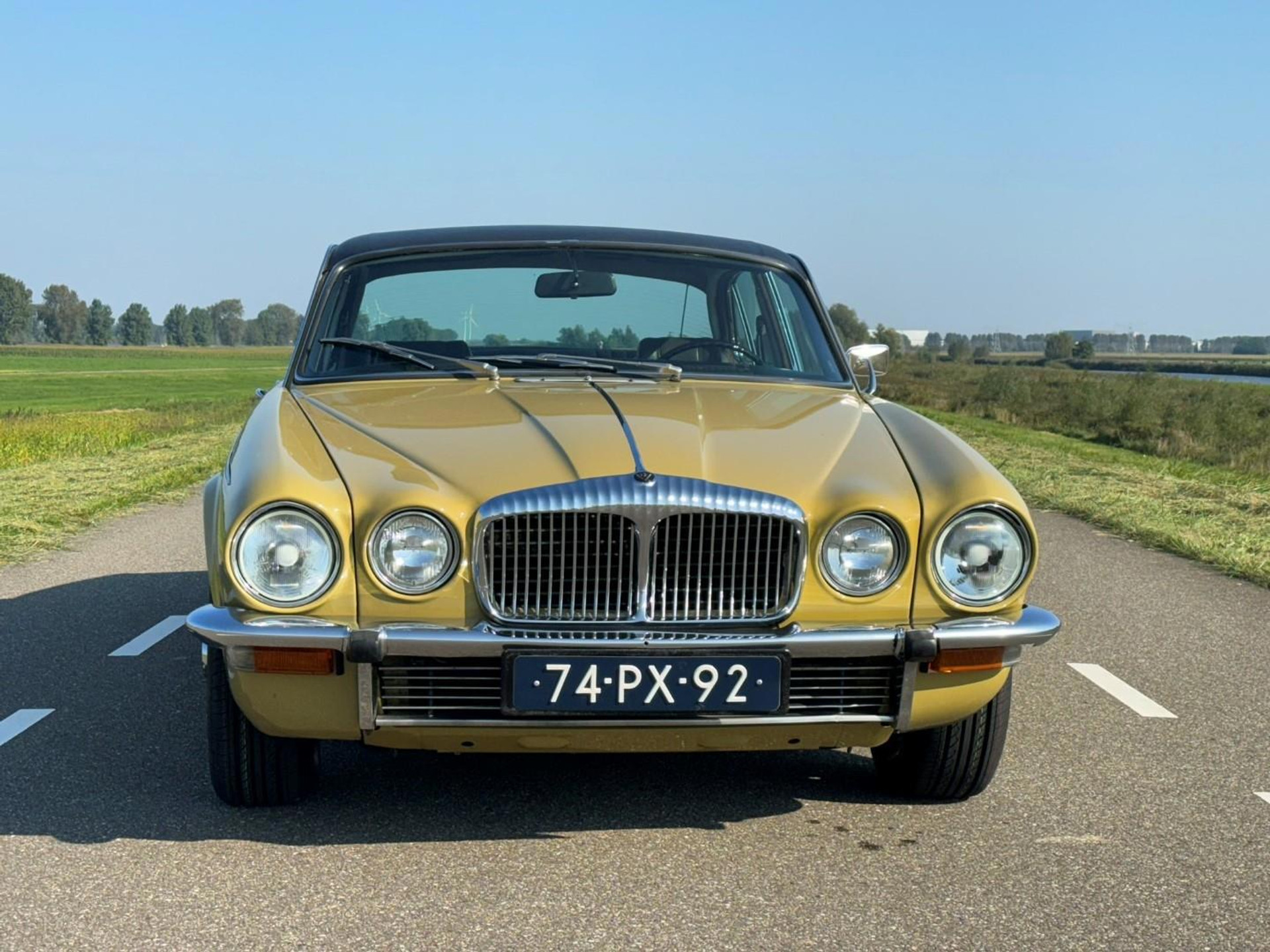 40325654-3.jpg